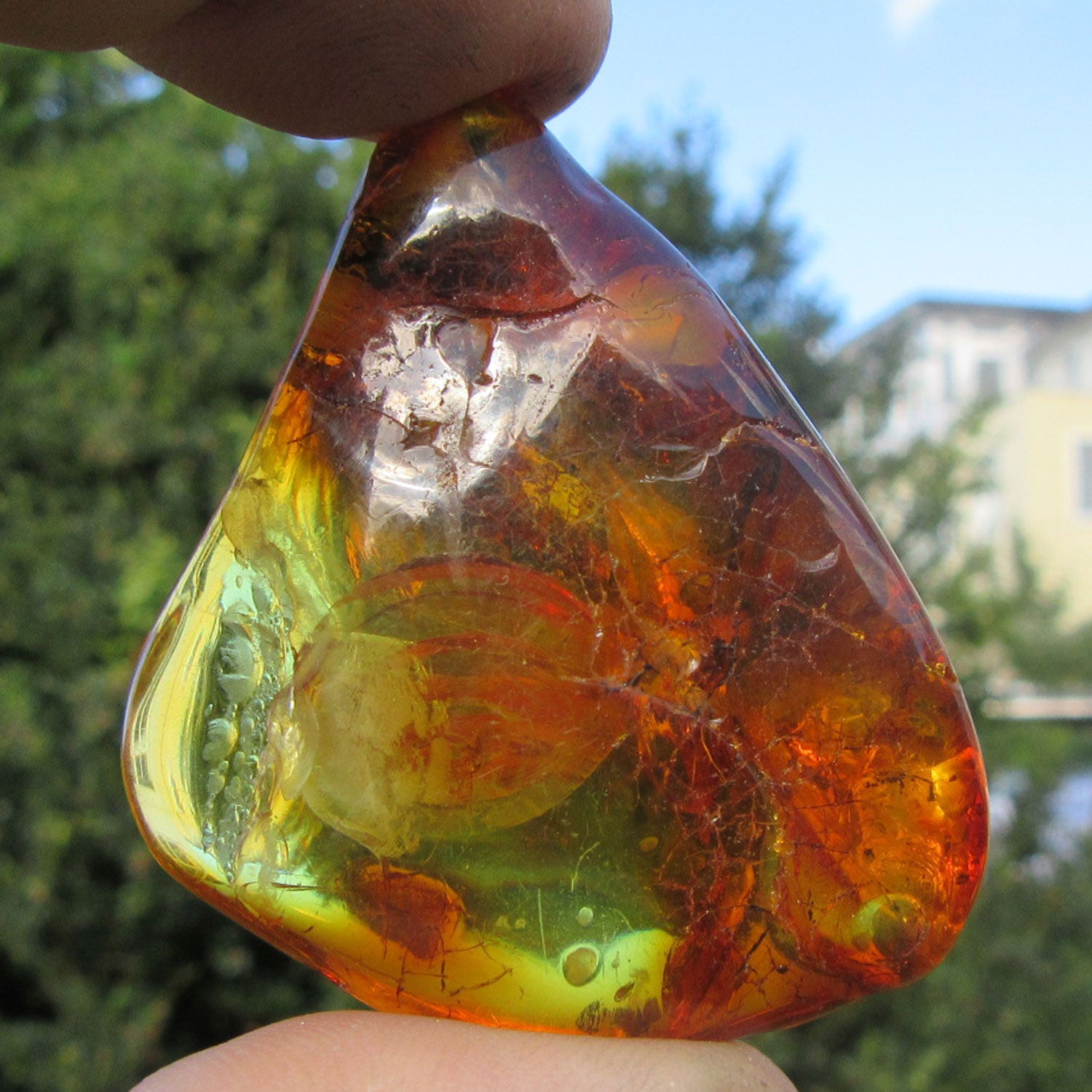 Einzigartiges, poliertes Bernsteinstück von Rügen