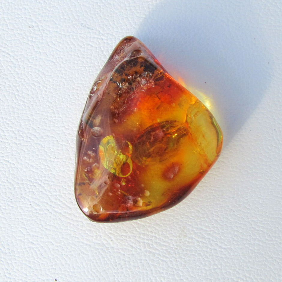 Einzigartiges, poliertes Bernsteinstück von Rügen