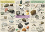 Faltblatt Steine am Ostsee – Fundstücke am Strand