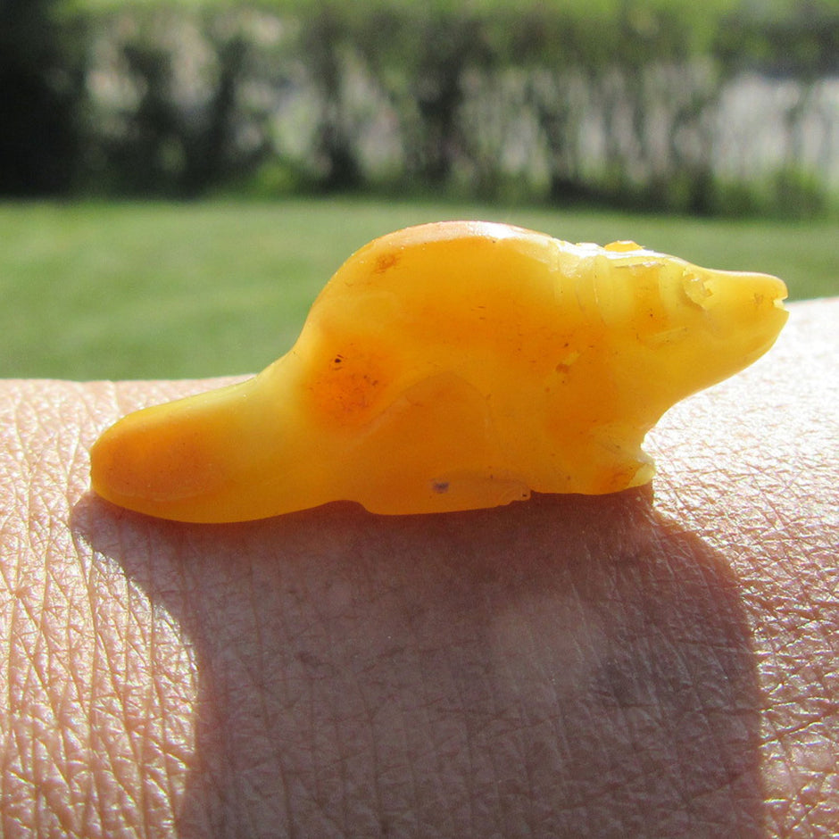 Biber aus Bernstein in Butterscotch – Einzelstück