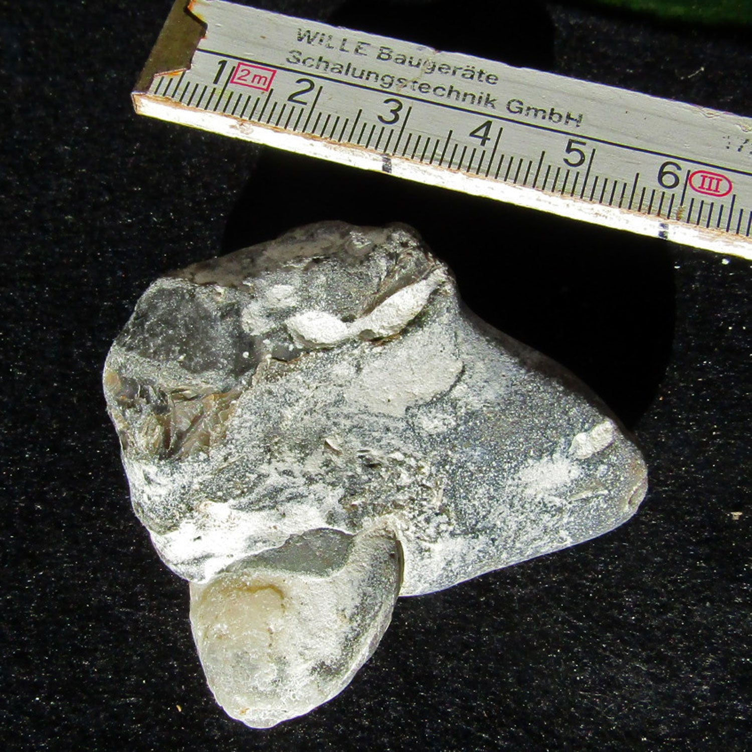 Versteinerter Armfüßer im Feuerstein, 70 Millionen Jahre alt