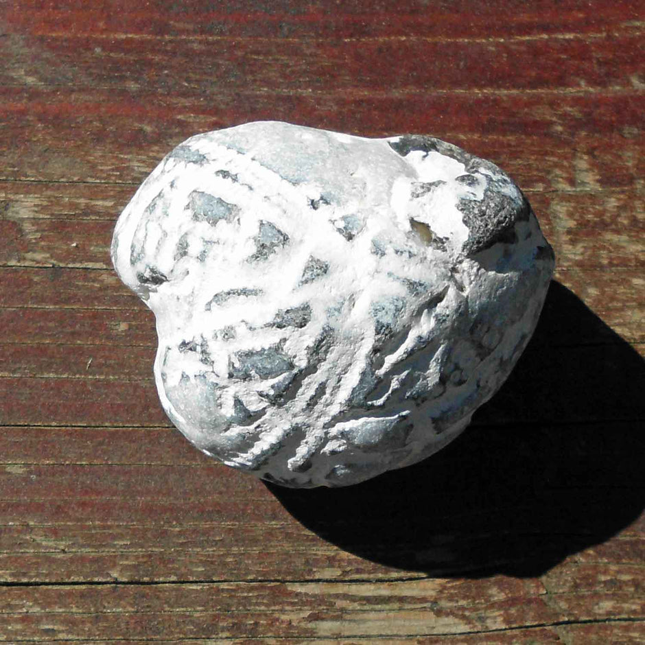 Versteinerter Herzseeigel von der Insel Rügen, 70 Mio. Jahre alt