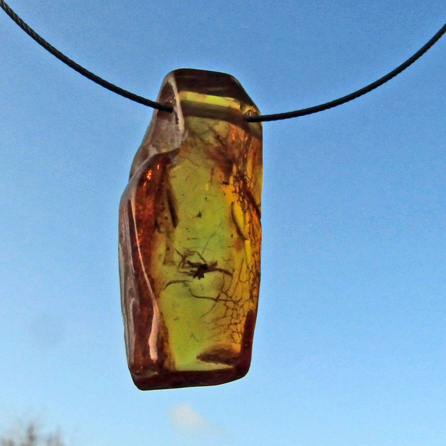 Klarer Bernstein mit Inkluse(Teil einer Spinne ? ) am Drahtcollier