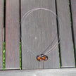Raffiniertes Drahtcollier mit zwei Bernsteinperlen
