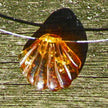 Elegantes Drahtcollier mit polierter Bernsteinmuschel