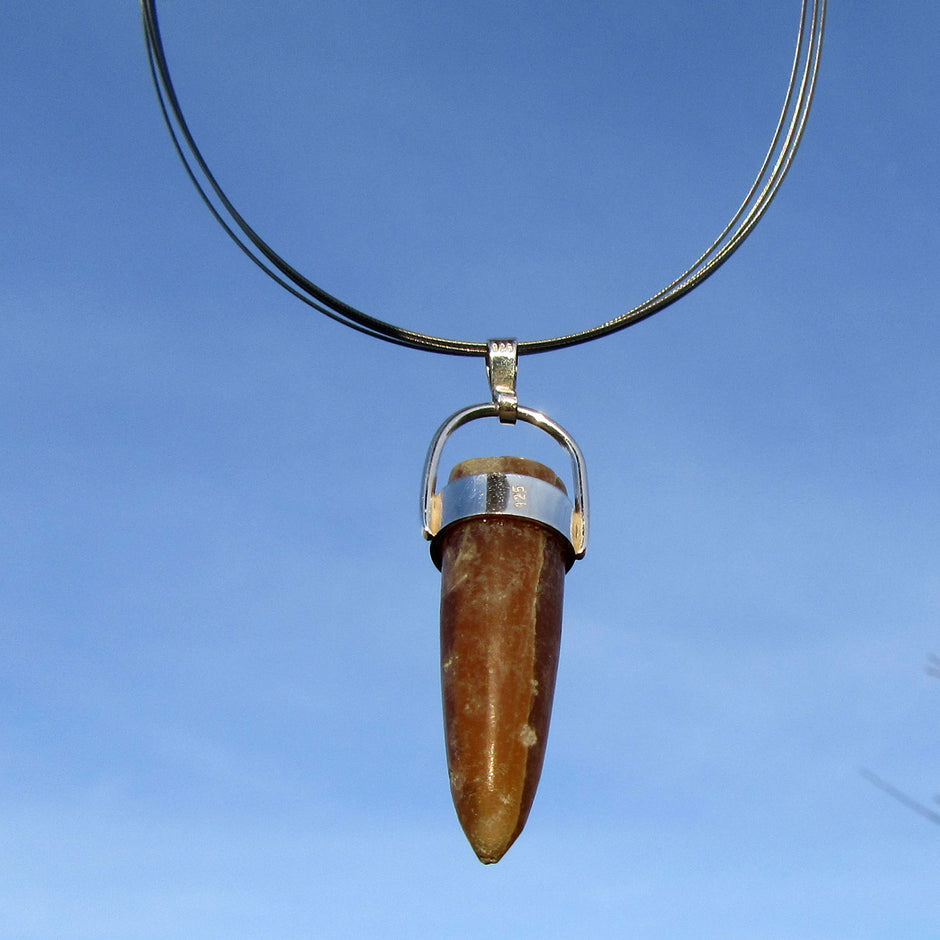Drahtcollier mit Donnerkeil – Fossil aus der Kreidezeit