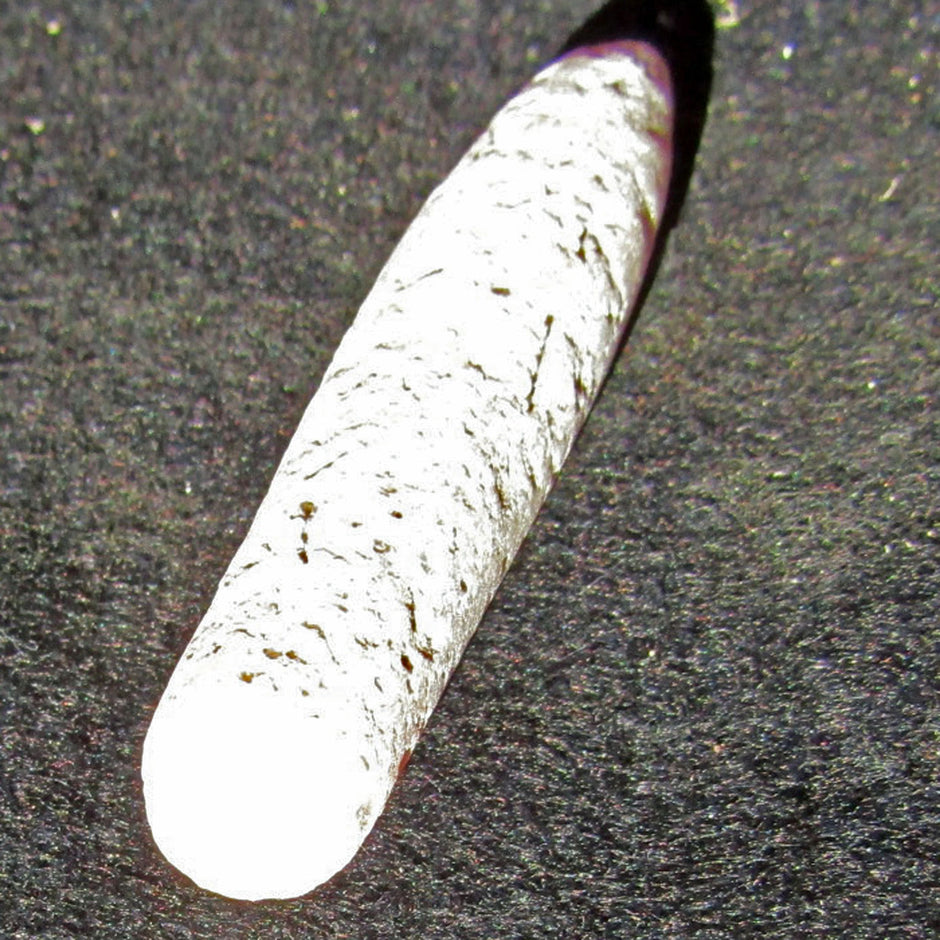 Großer Belemnit Donnerkeil von der Ostsee-Insel Rügen