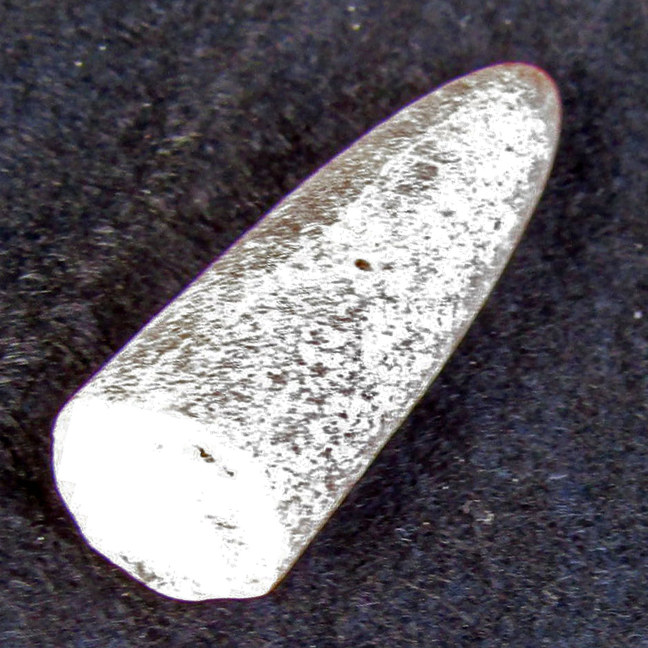 Belemnit Donnerkeil – Einzigartige Spitze von Rügen