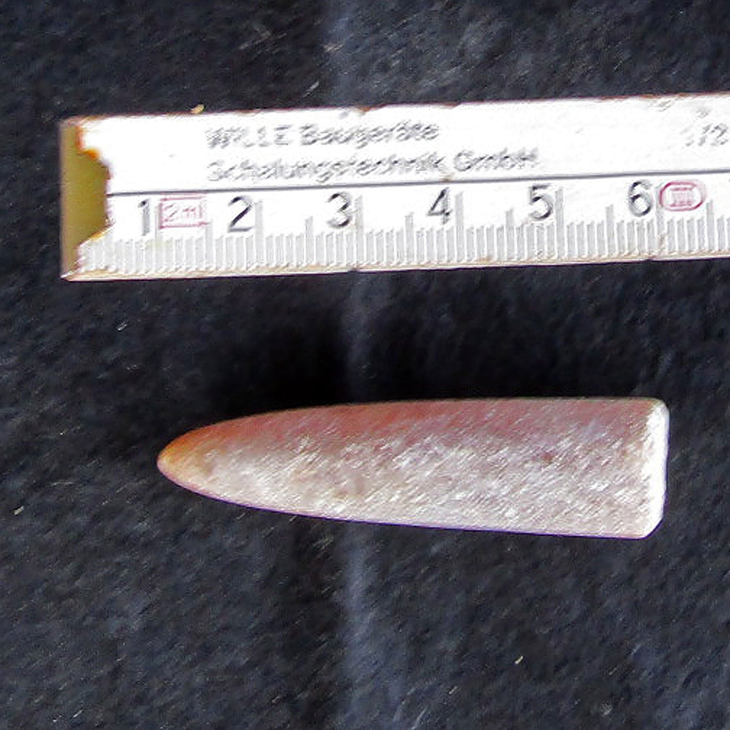 Belemnit Donnerkeil – Einzigartige Spitze von Rügen