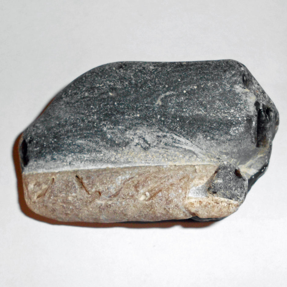 Belemnit auf Feuerstein, 70 Millionen Jahre alt, Unikat