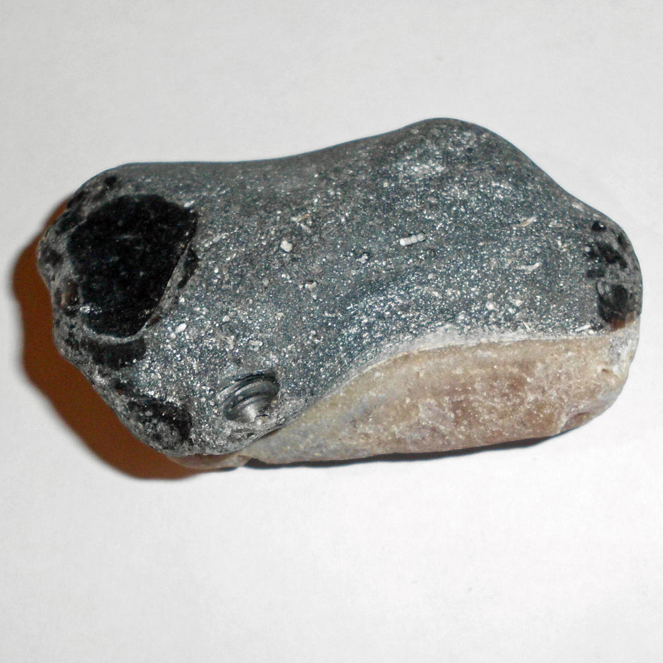 Belemnit auf Feuerstein, 70 Millionen Jahre alt, Unikat