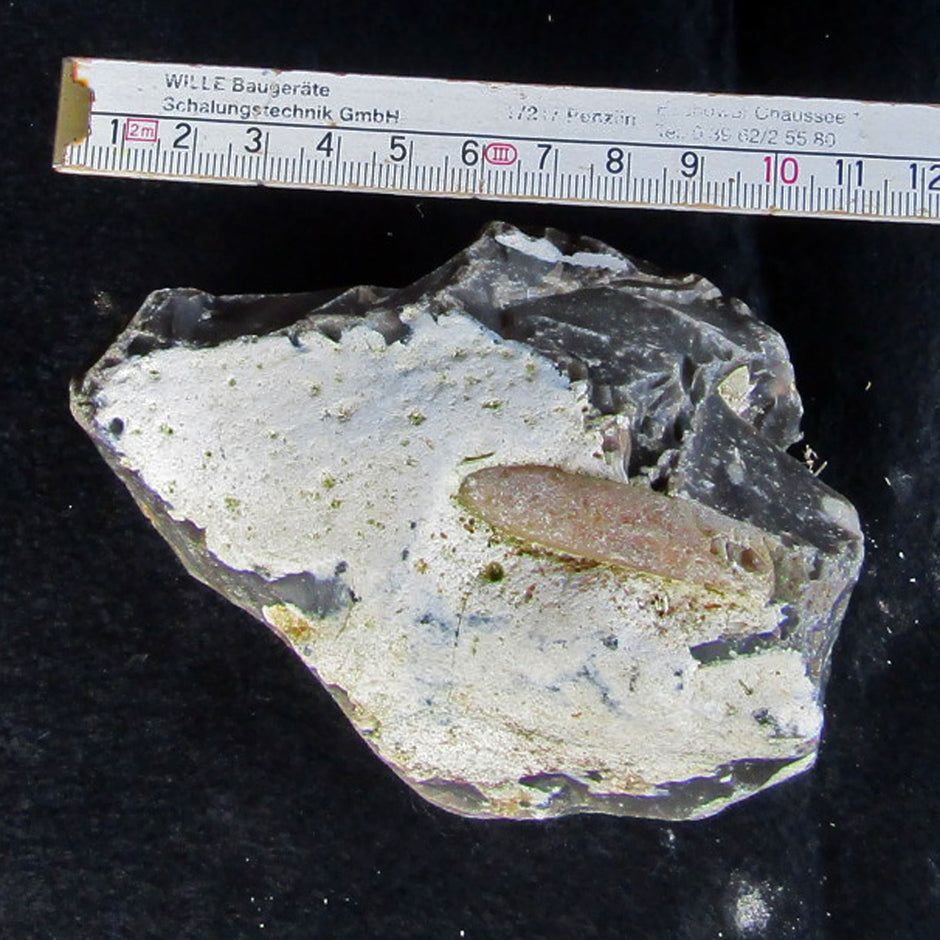 Belemnit Donnerkeil auf Feuerstein, maritim und einzigartig