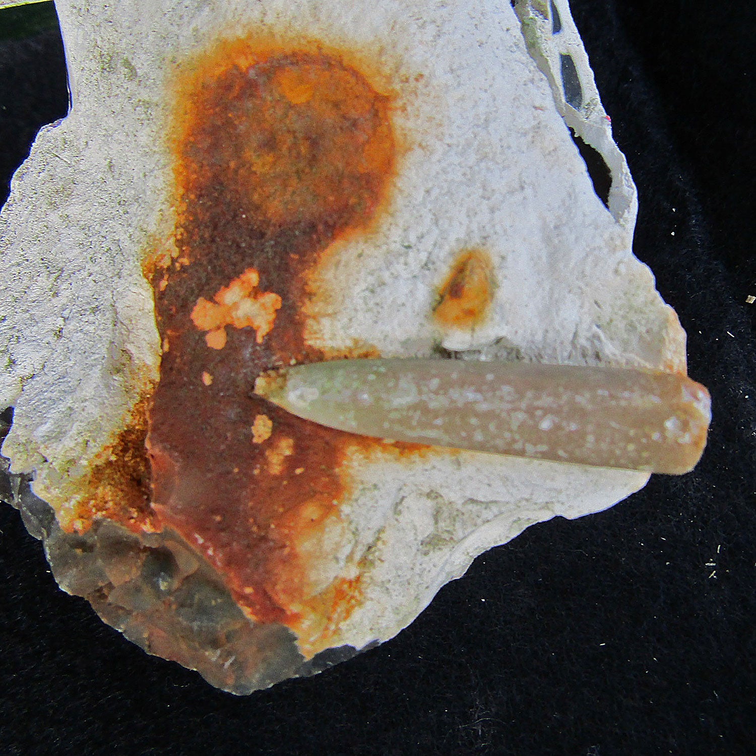 Belemnit Donnerkeil auf Feuerstein, Unikat von Rügen