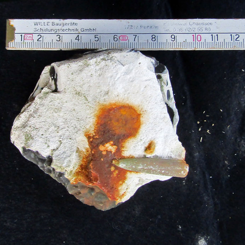 Belemnit Donnerkeil auf Feuerstein, Unikat von Rügen