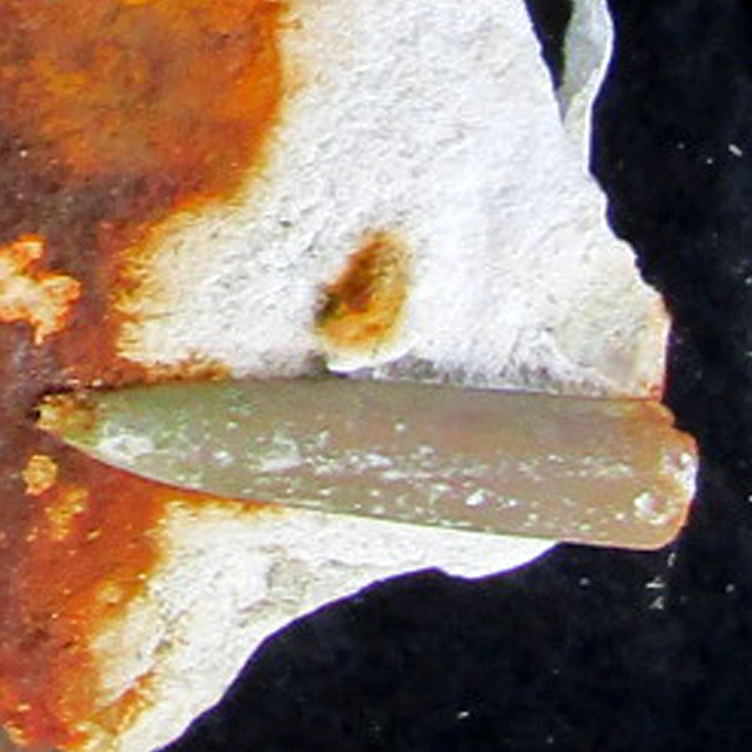 Belemnit Donnerkeil auf Feuerstein, Unikat von Rügen