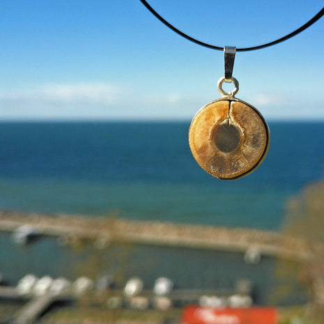 Einzigartiger Anhänger mit polierter Donnerkeilscheibe aus Silber