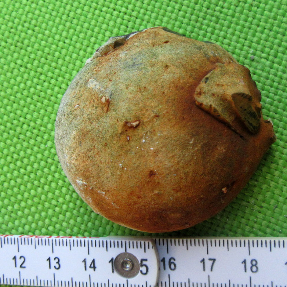 Druse aus Feuerstein – Kristallin schimmerndes Unikat