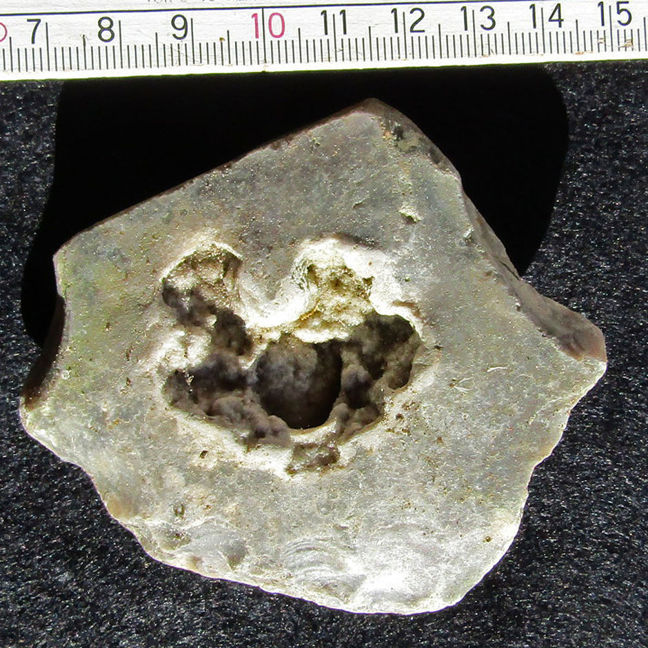 Einzelstück: Große Druse im Feuerstein von Rügen