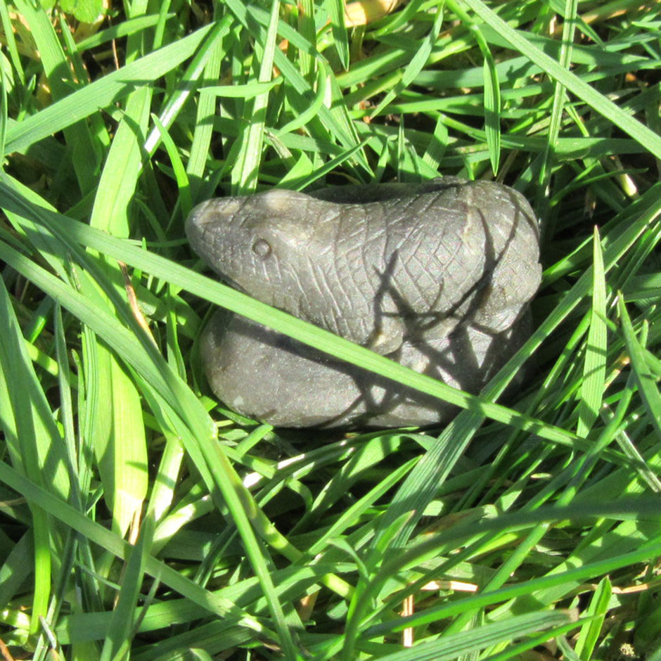 Salamander aus Feuerstein – kunstvoll geschnittene Echse von der Küste