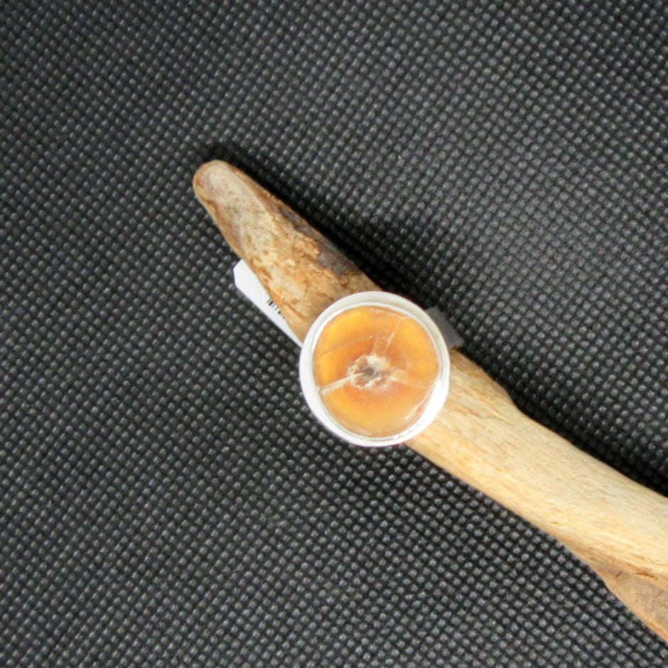 Silberring mit polierter Donnerkeilscheibe, Unikat