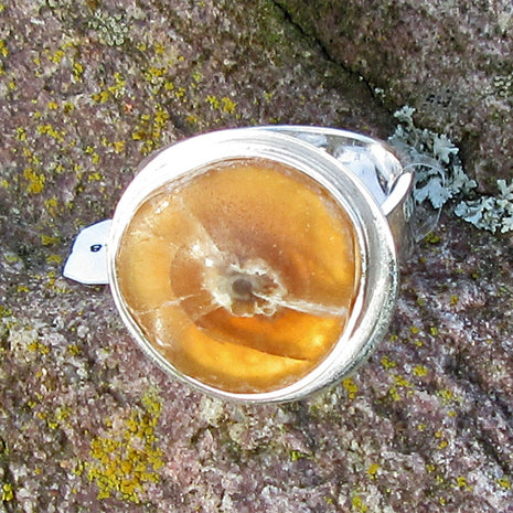 Silberring mit polierter Donnerkeilscheibe, Unikat