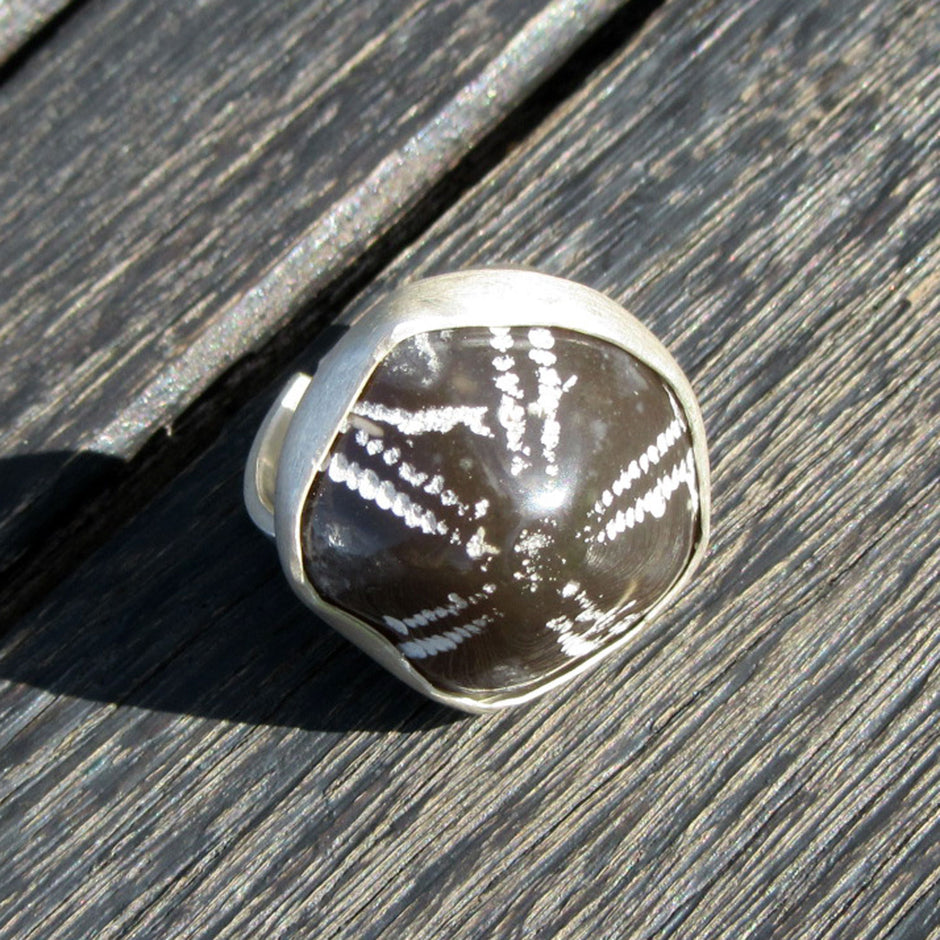 Fingerring aus Silber mit poliertem Seeigel von Rügen