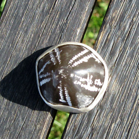 Fingerring aus Silber mit poliertem Seeigel von Rügen