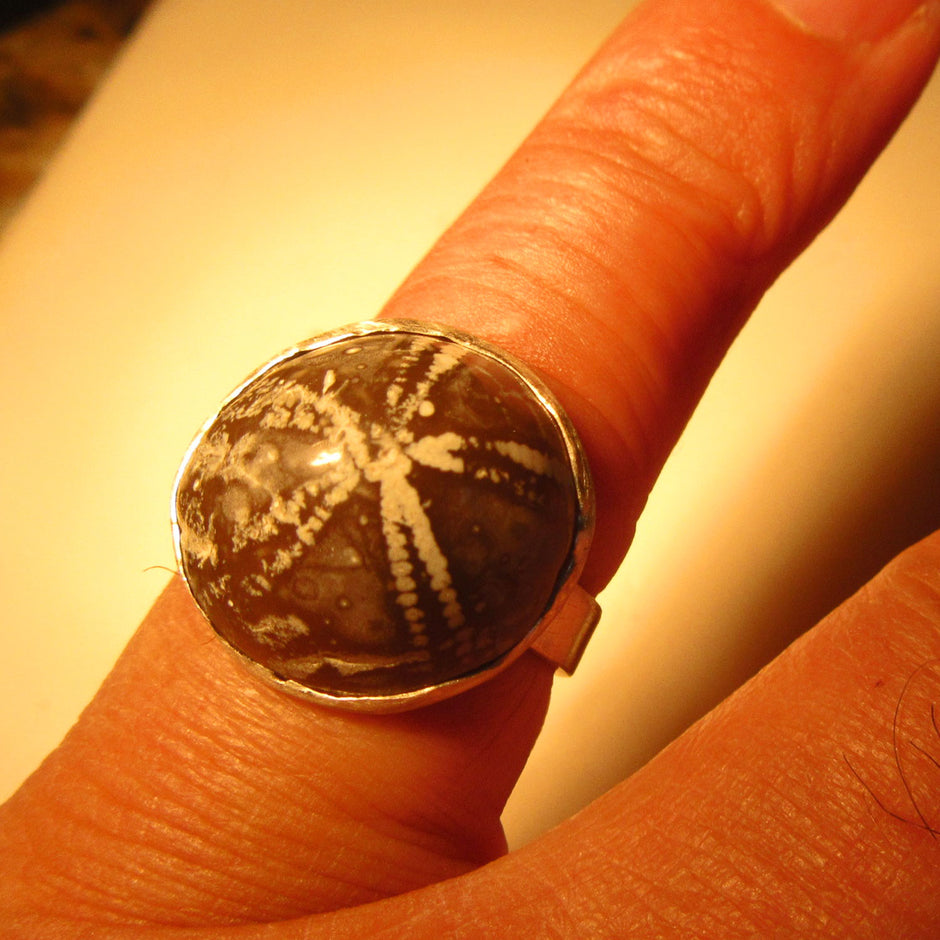Eleganter Fingerring mit poliertem Seeigel in Silberfassung