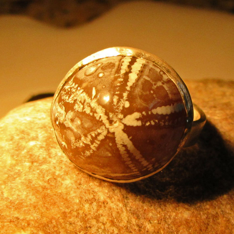 Eleganter Fingerring mit poliertem Seeigel in Silberfassung