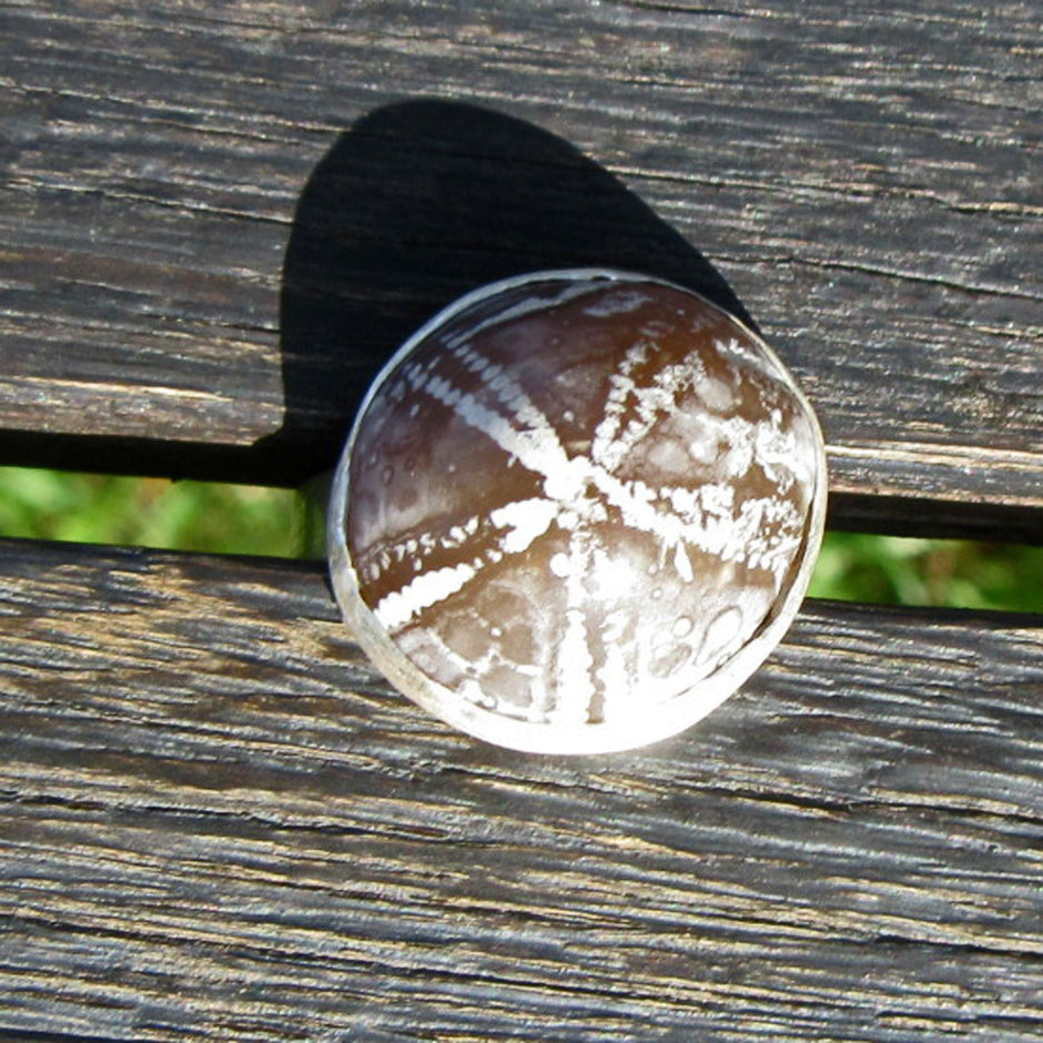Eleganter Fingerring mit poliertem Seeigel in Silberfassung