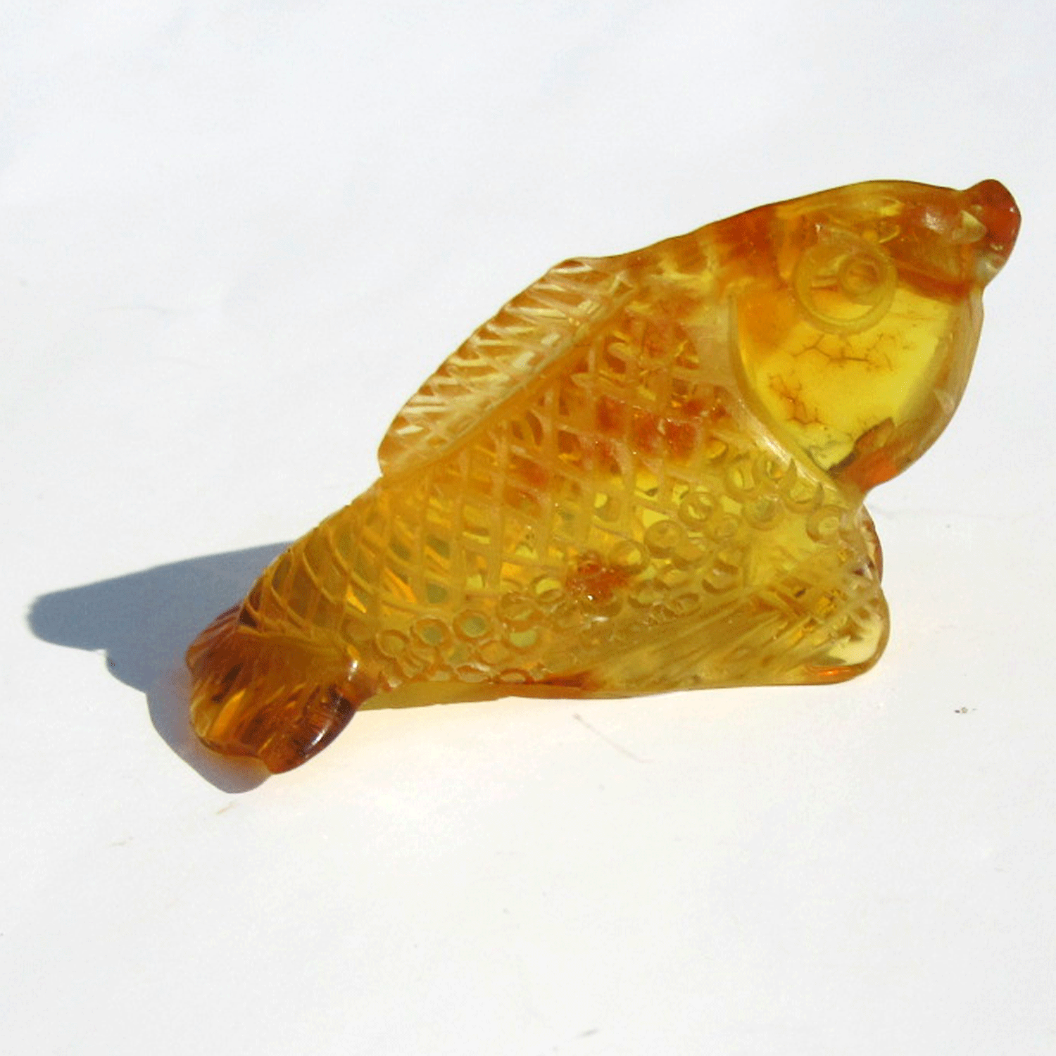 Einzigartiger Bernsteinfisch von der Ostsee-Insel Rügen