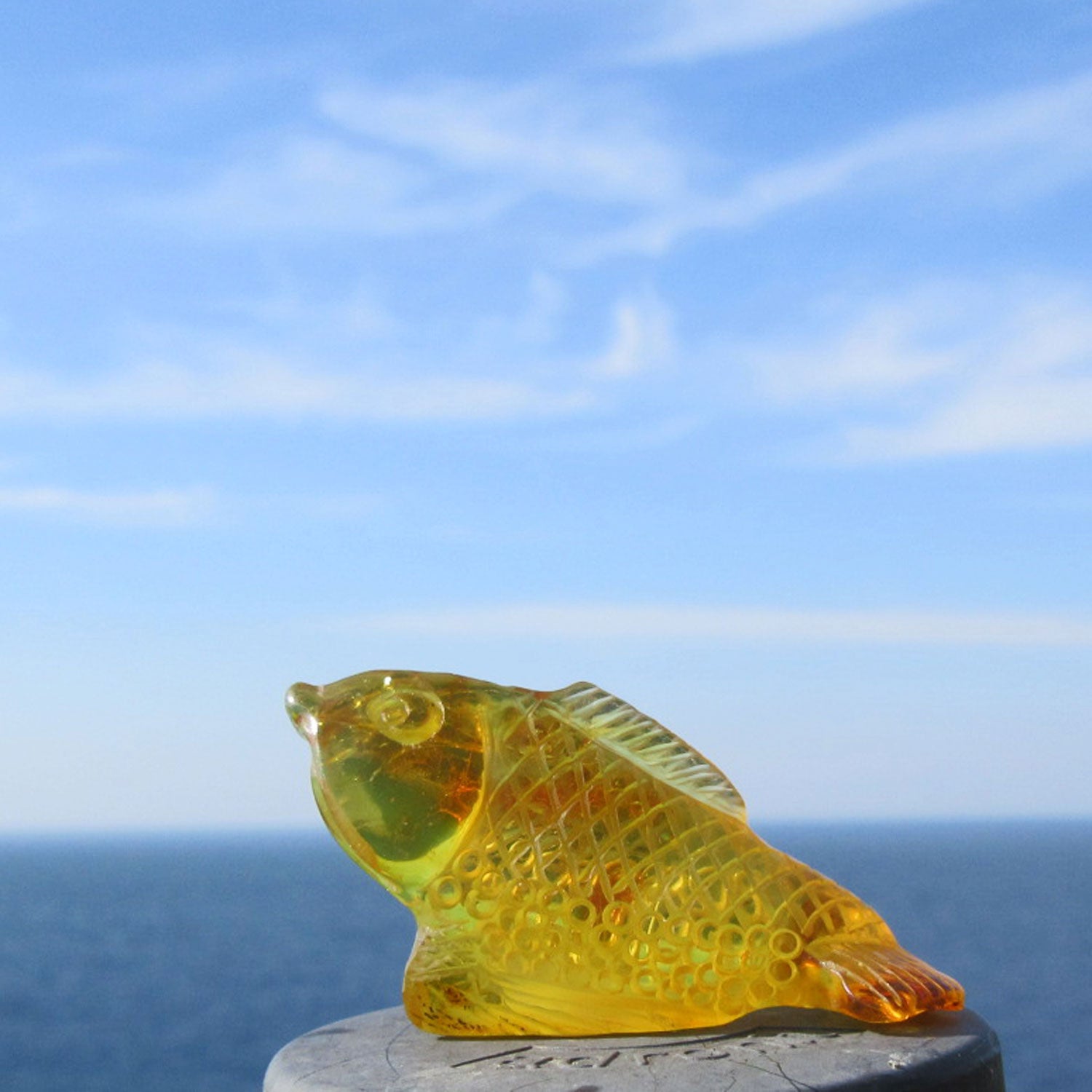 Einzigartiger Bernsteinfisch von der Ostsee-Insel Rügen