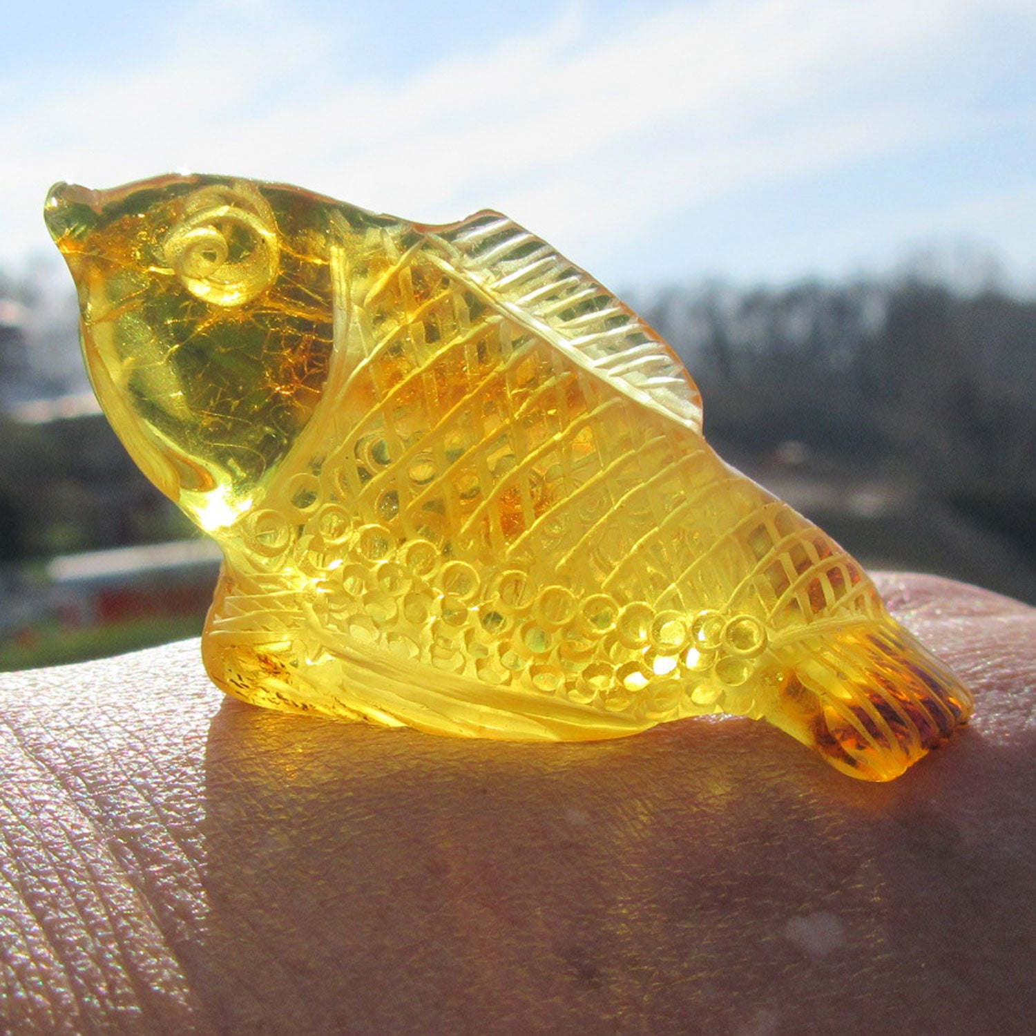 Einzigartiger Bernsteinfisch von der Ostsee-Insel Rügen