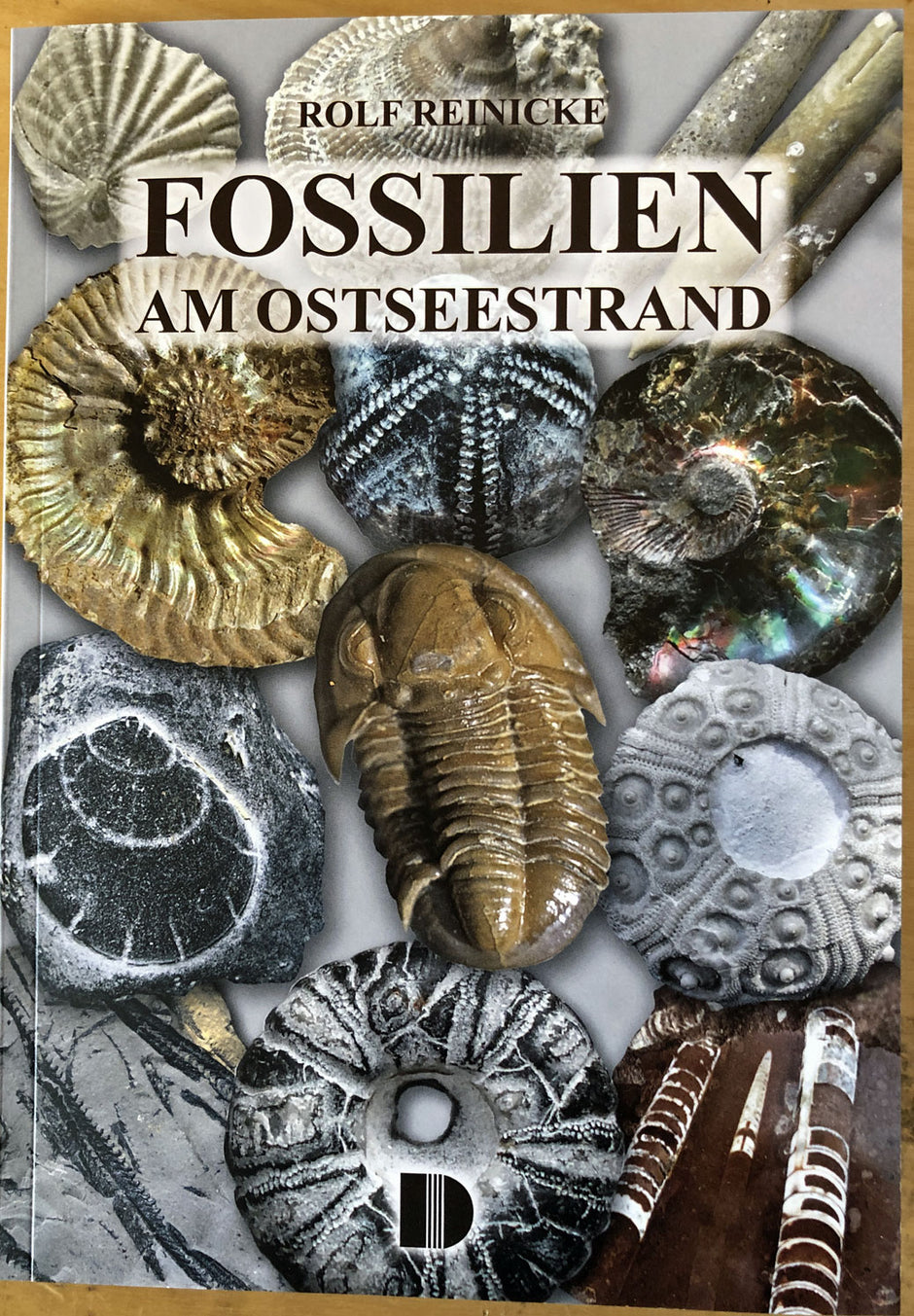 Fossilien am Ostseestrand / Rolf Reinicke