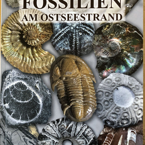 Fossilien am Ostseestrand / Rolf Reinicke