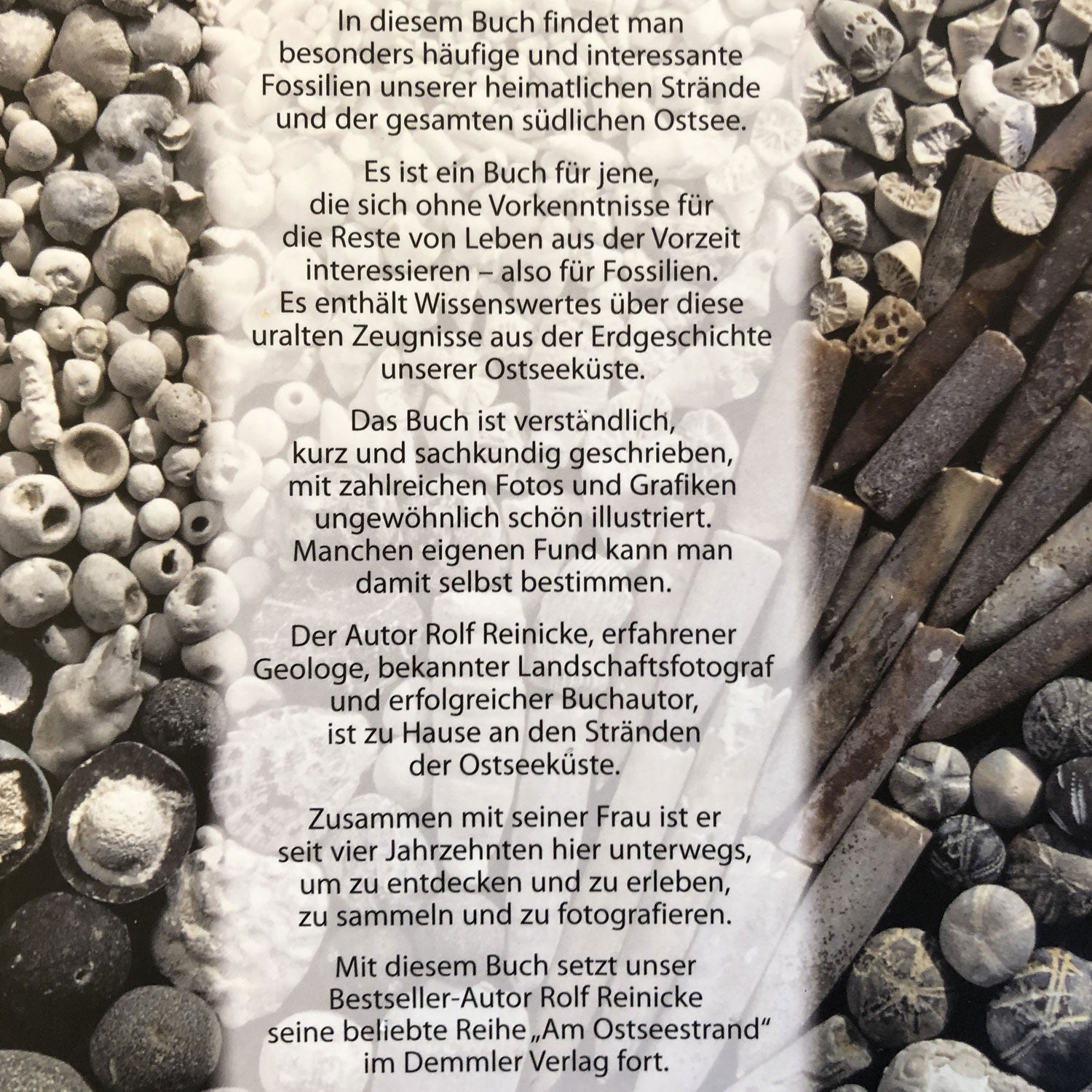 Fossilien am Ostseestrand / Rolf Reinicke