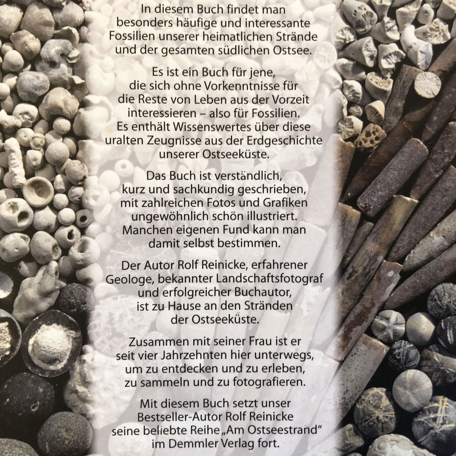 Fossilien am Ostseestrand / Rolf Reinicke