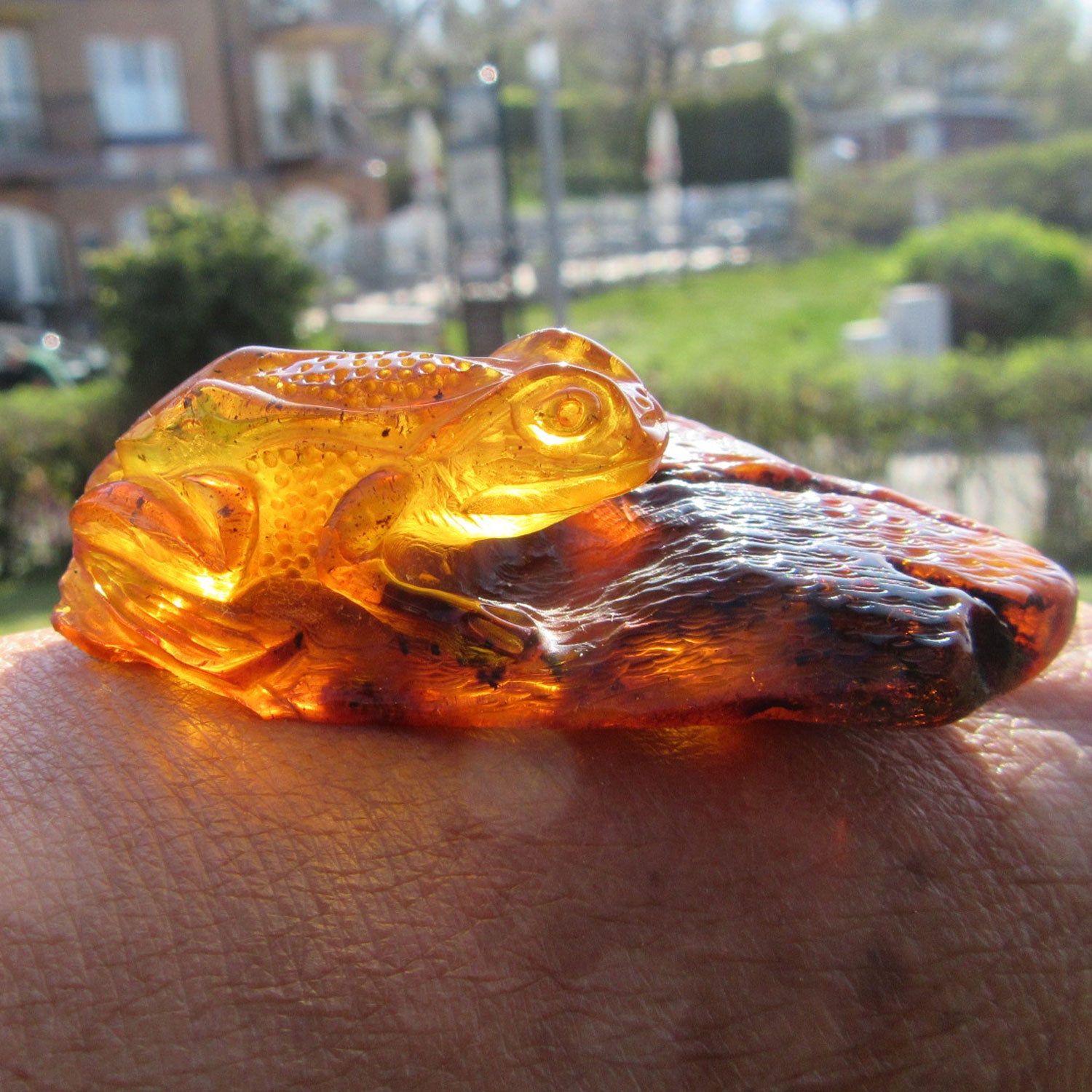 Einzigartiger Frosch aus Bernstein, handgeschliffen