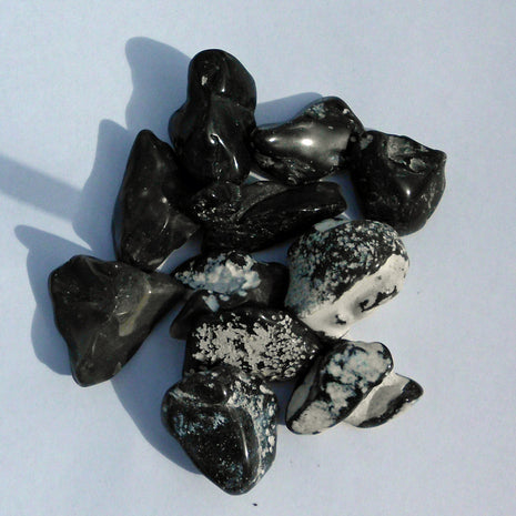 Polierte Feuersteine von der Ostsee-Insel Rügen