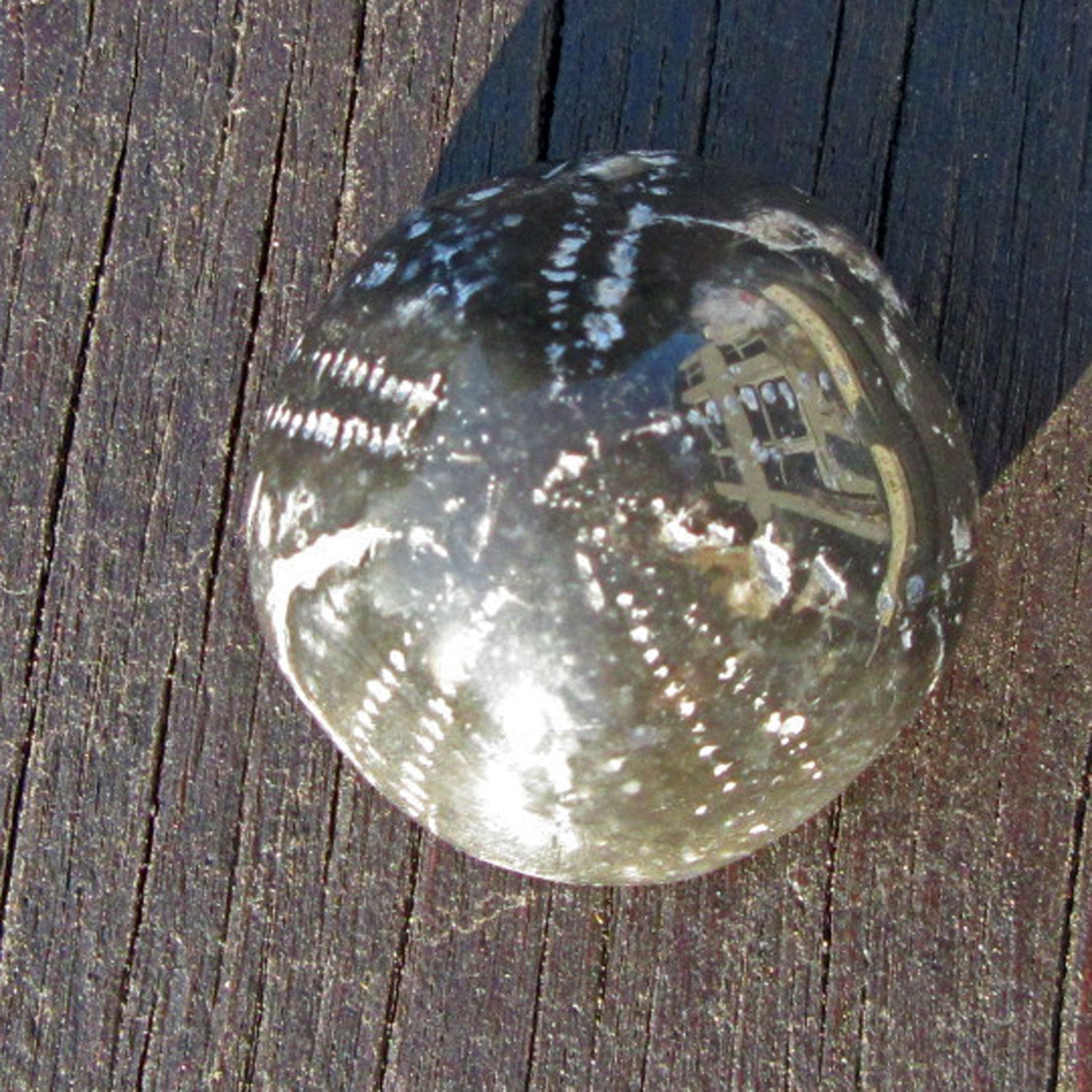 Versteinerter Seeigel Galeritis, poliert, Unikat