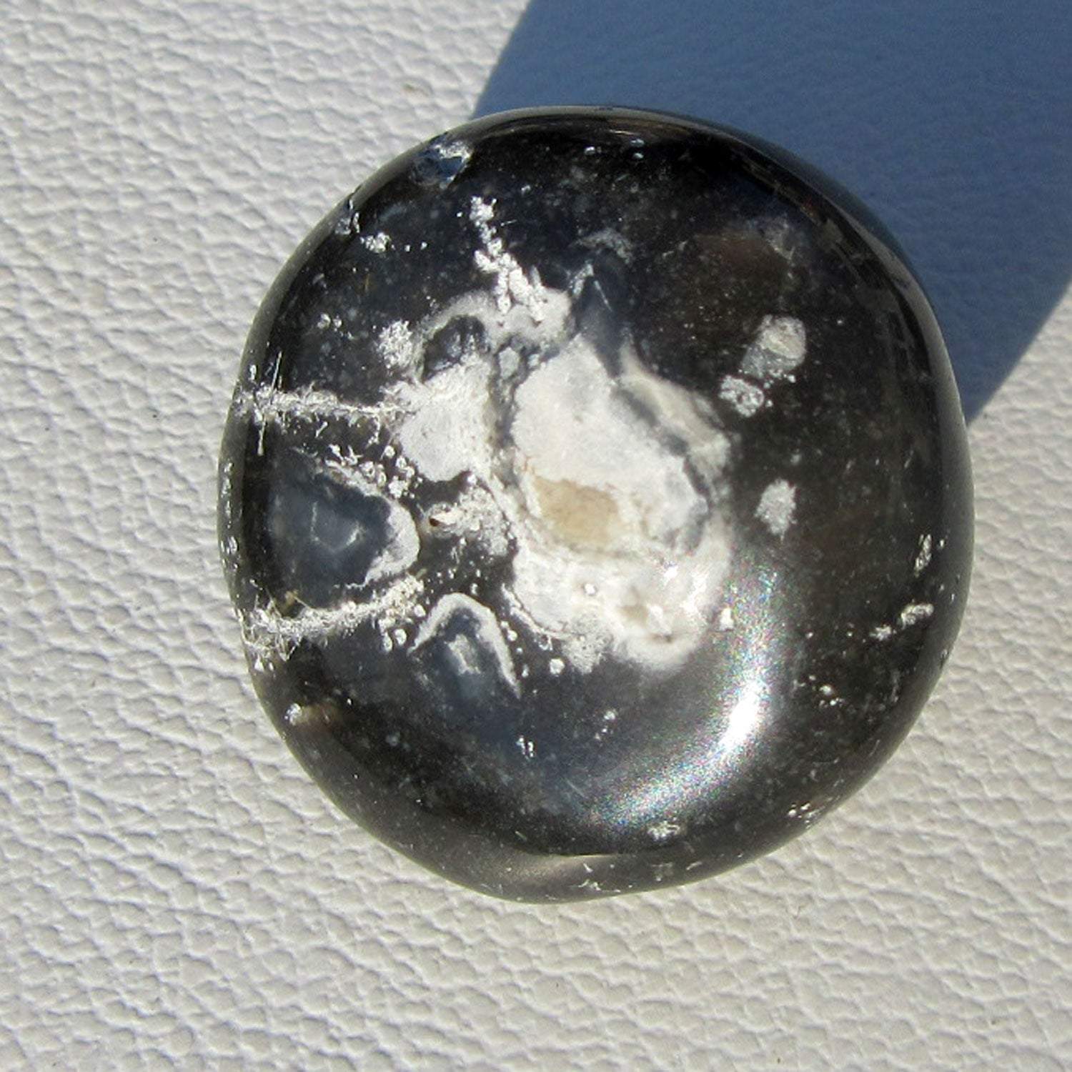 Versteinerter Seeigel Galeritis, poliert, Unikat