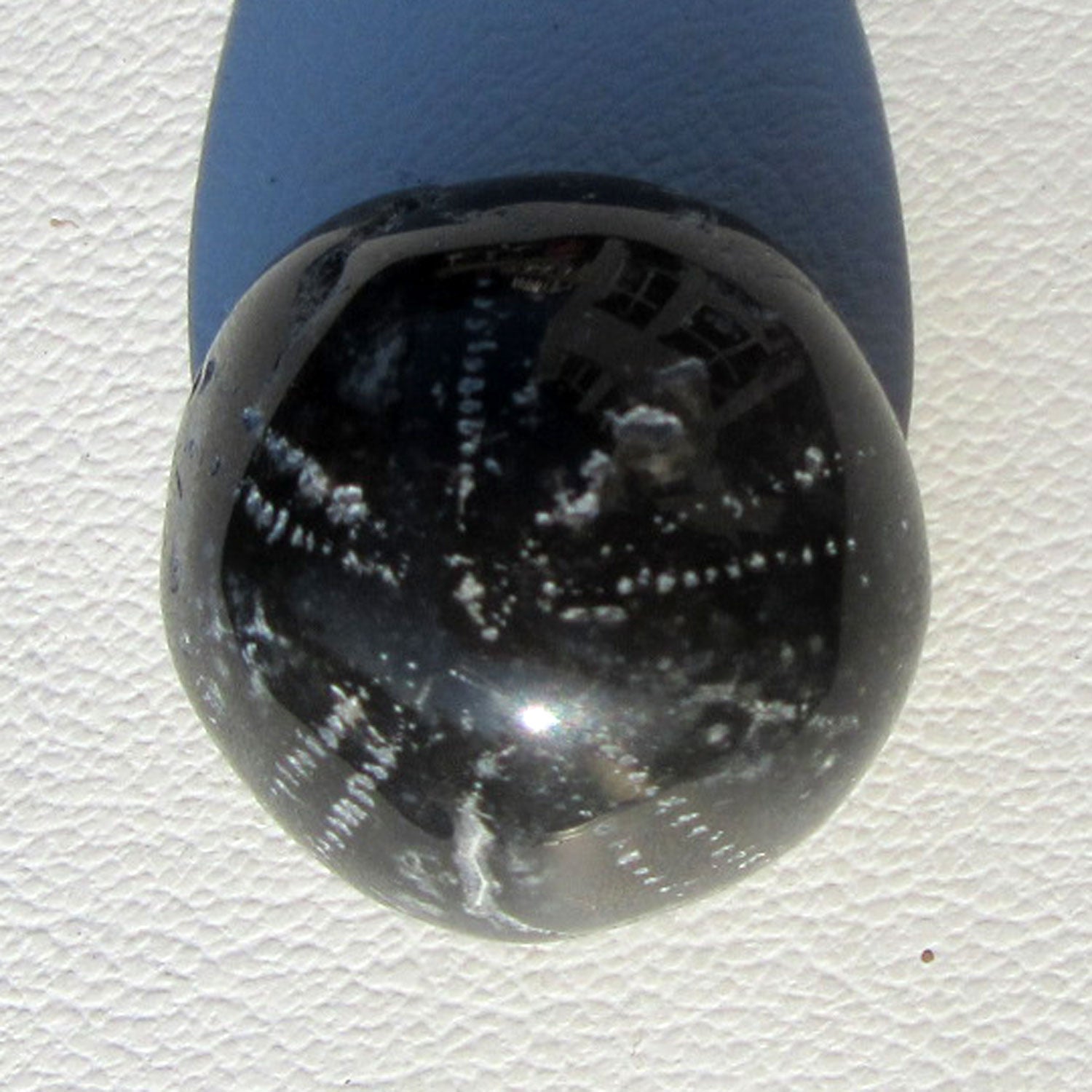 Versteinerter Seeigel Galeritis, poliert, Unikat