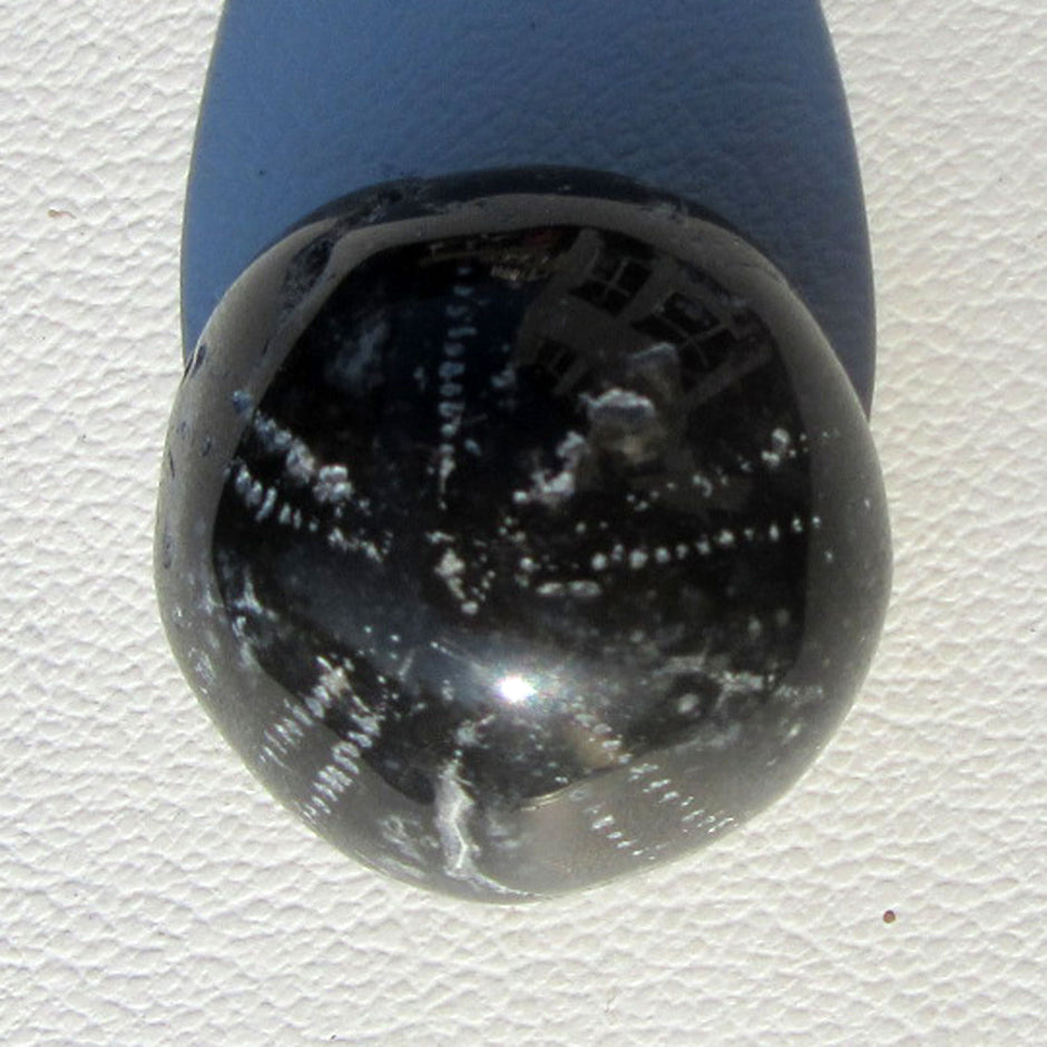 Versteinerter Seeigel Galeritis, poliert, Unikat