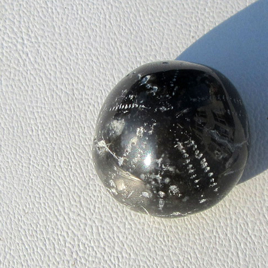 Versteinerter Seeigel Galeritis, poliert, Unikat