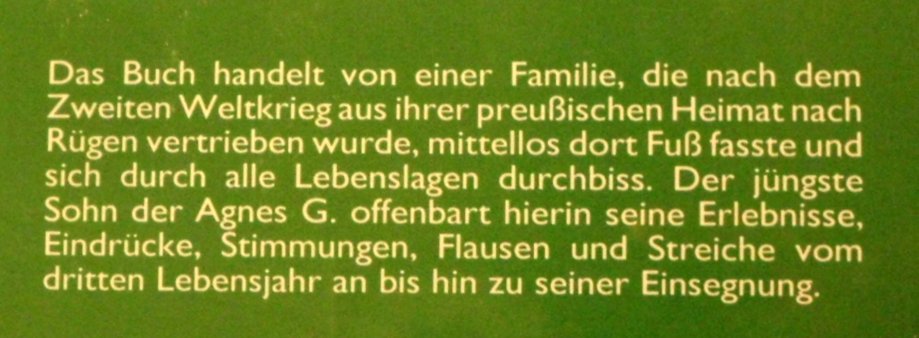 Schatzring aus Bernstein – Unikat von der Ostsee-Insel