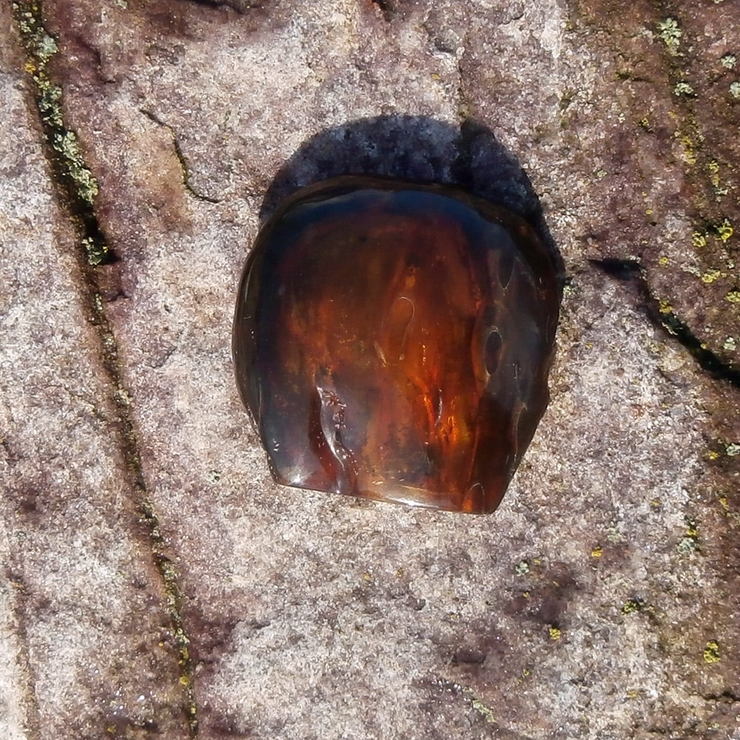 Poliertes Dunkles Bernsteinstück – Einzigartig und Durchscheinend