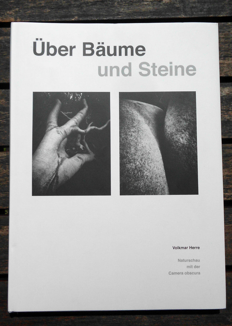 Über Bäume und Steine – Gedanken aus der Natur