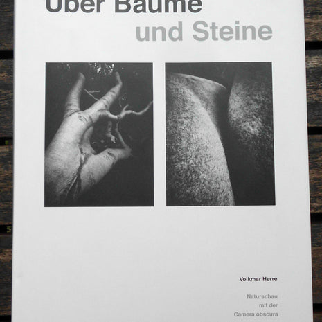 Über Bäume und Steine – Gedanken aus der Natur