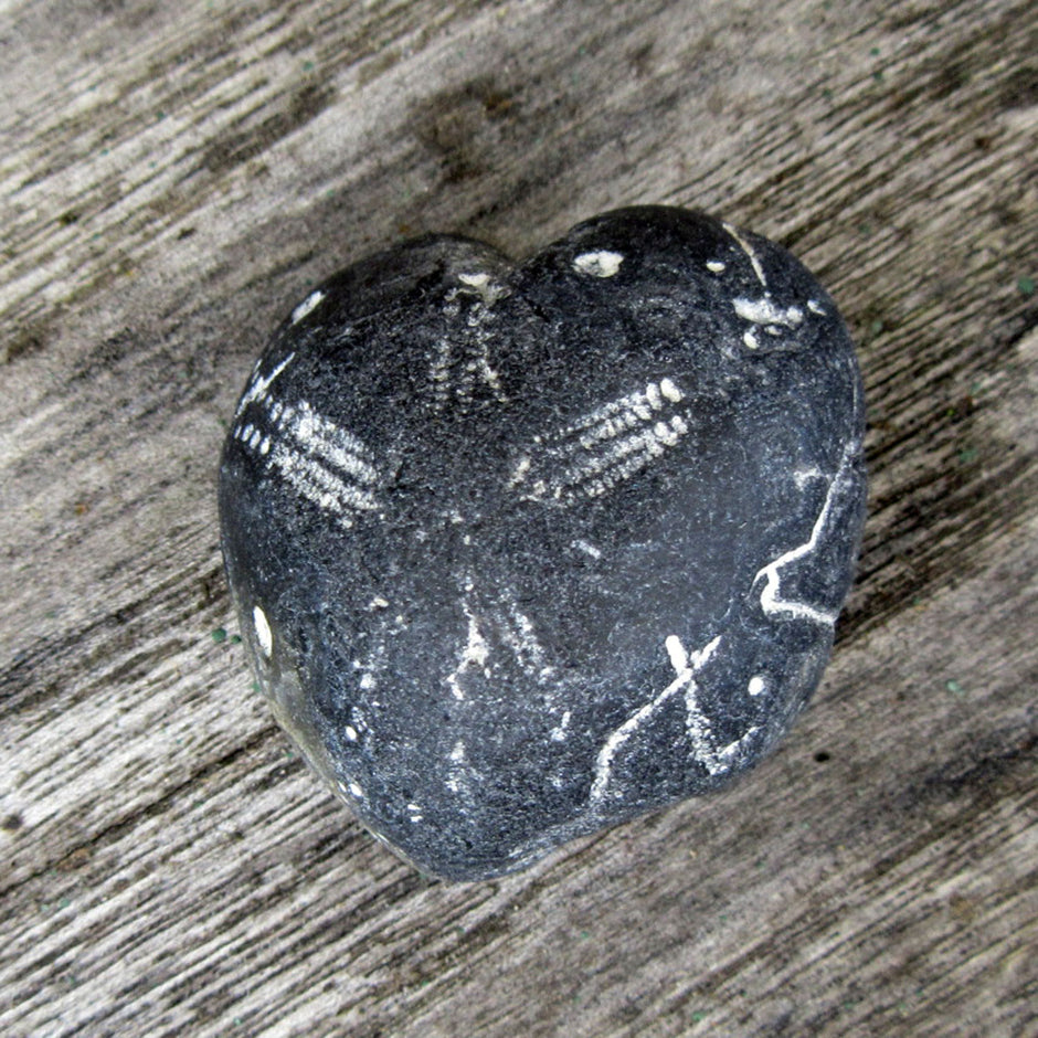 Herzseeigel von Rügen, 70 Millionen Jahre alt, Unikat