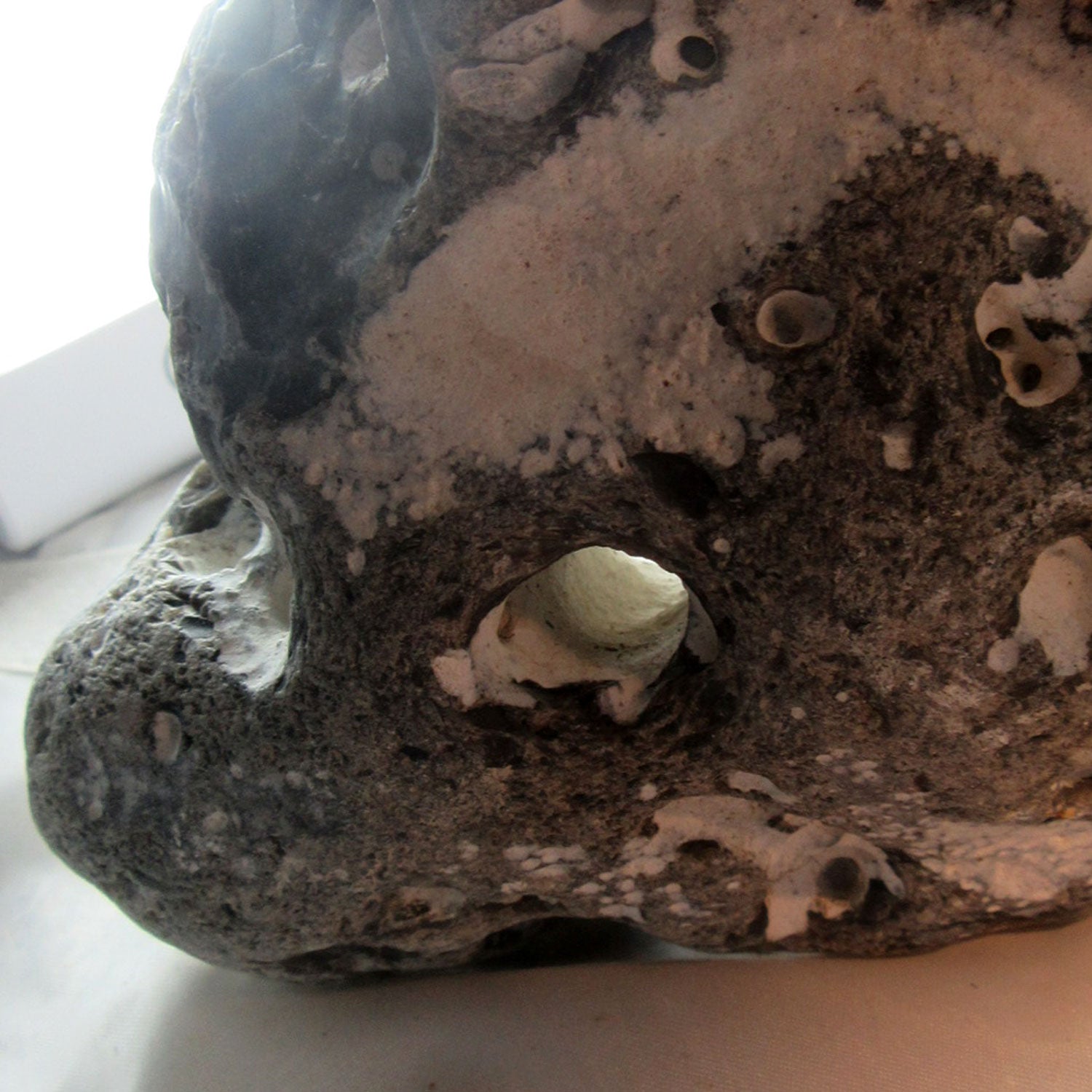 Hühnergott unpoliert von der Ostsee-Insel Rügen – Einzelstück